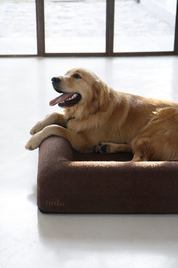 Nido Bed - Small, Chocolate