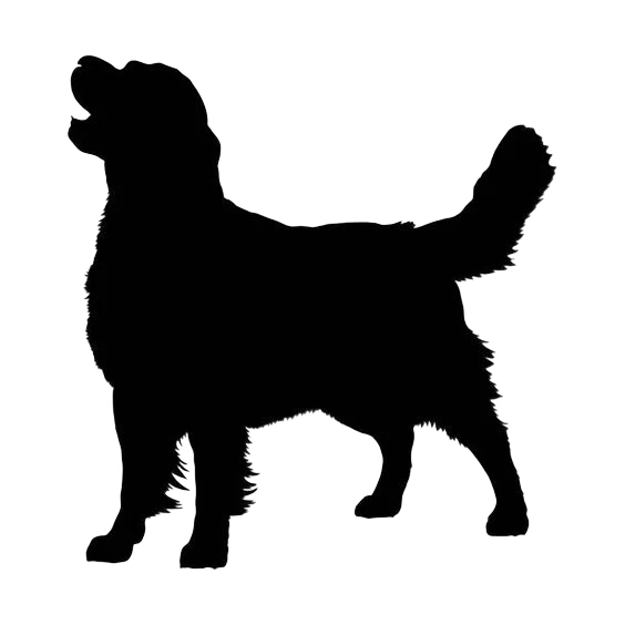 Perro de raza grande junto a cama Nido tamaño Large