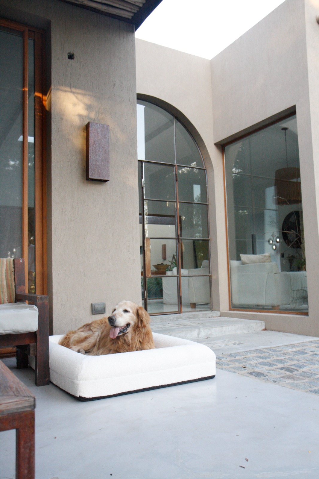 Golden Retriever descansando en cama Nido